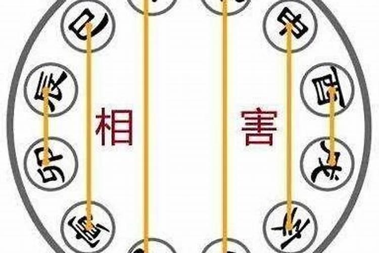 八字合中带克什么意思