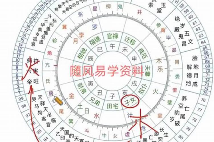 果老星宗合八字哪个好学