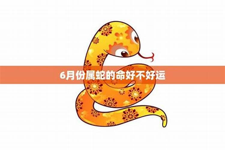 属蛇长流水命缺什么