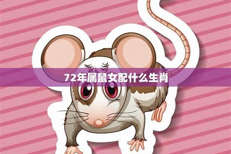 72属鼠女人婚姻命运72年属鼠49岁交运