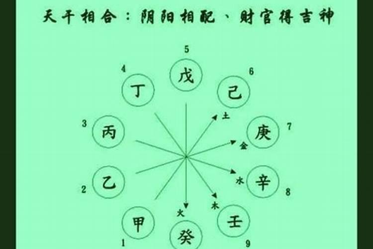 八字地支力量大小