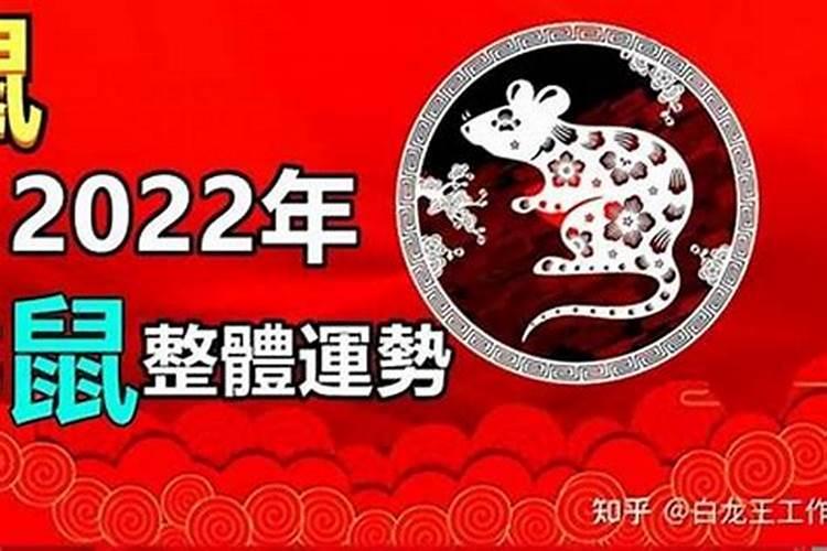 生肖属鼠的今年运势如何