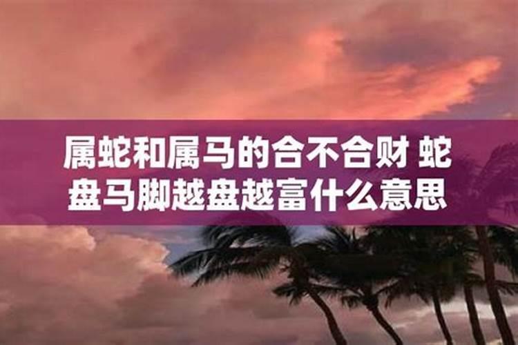 属蛇的与属马的合吗