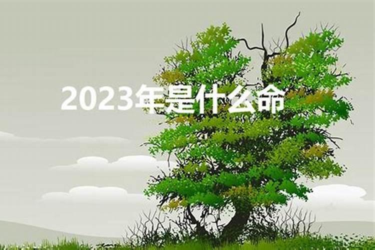 2023年属是什么命五行属什么