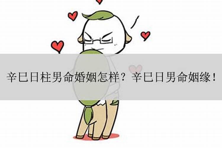 辛巳日柱男命婚姻详解