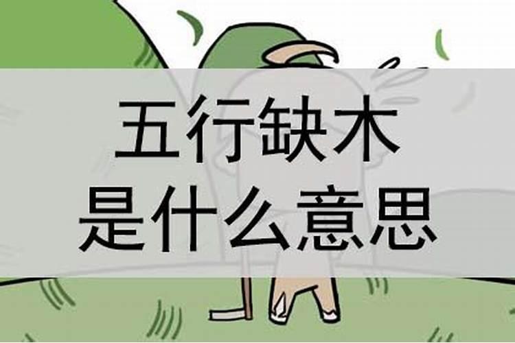 命中缺木是什么