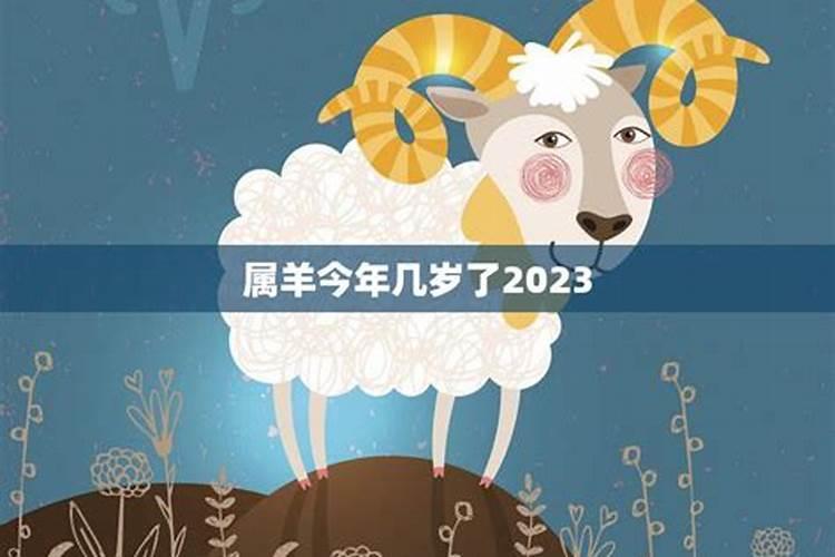 属羊今年几岁2021