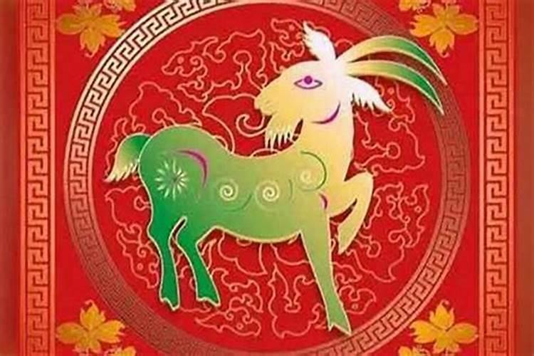 属羊今年多少岁呀