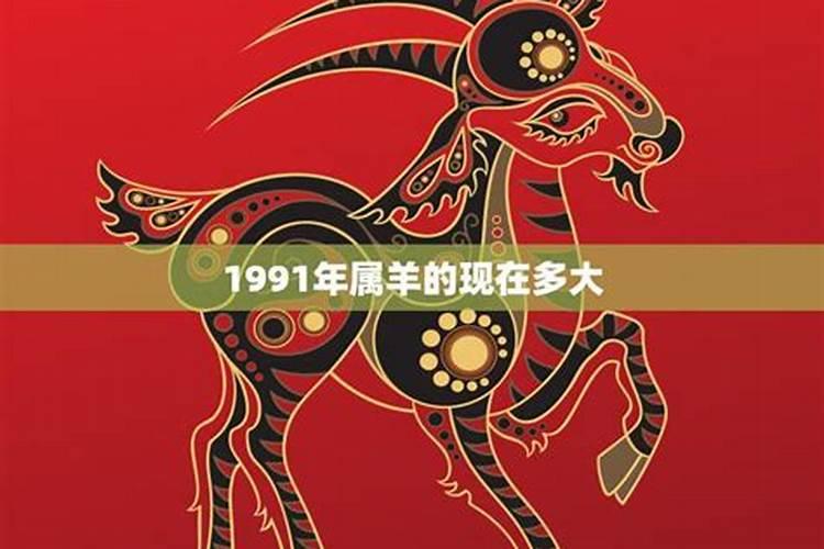 91年属羊的现在多少岁