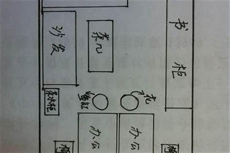 风水学可以自学吗女生