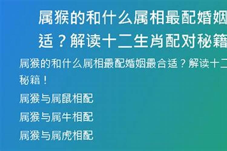 属猴和啥属相合适