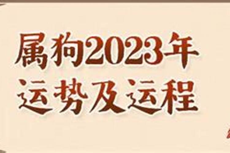 属狗人2023年运势详解