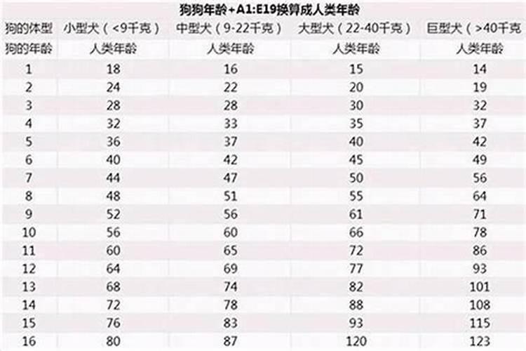 请问属狗今年多大了啊