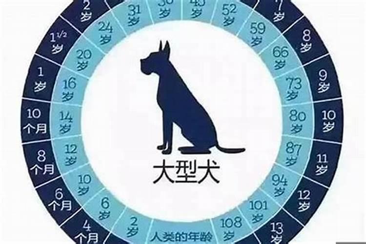 属狗今年多大了2022虚岁