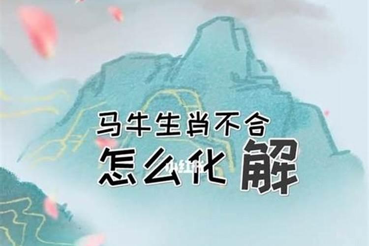 属相不合怎么化解