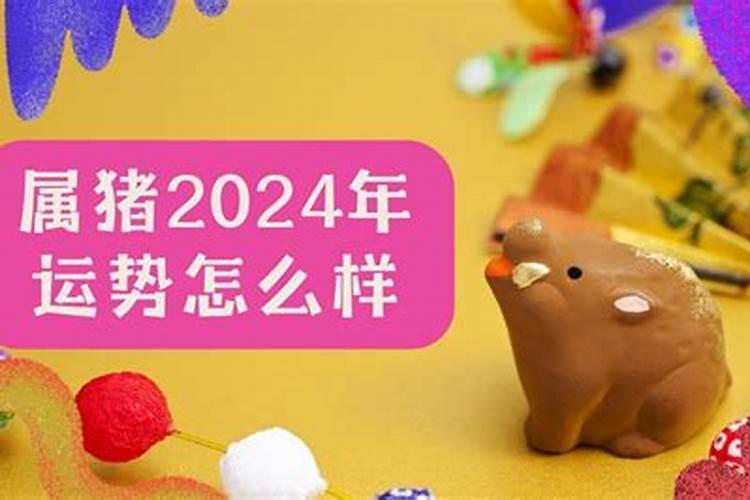 属猪运势2024运势详解一下