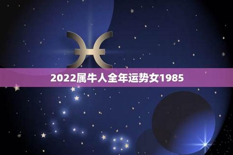 1985女属牛人2021年全年运势详解