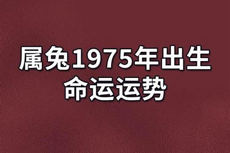 属兔一生的命运怎么样1975