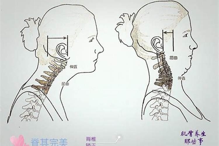 影响颈椎的风水