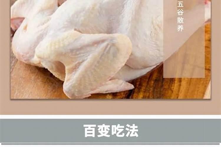 童子鸡的最佳吃法