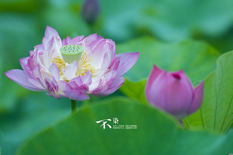 办公室进水风水好不好