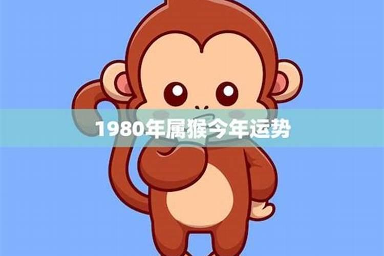 1980年属猴的财运数字