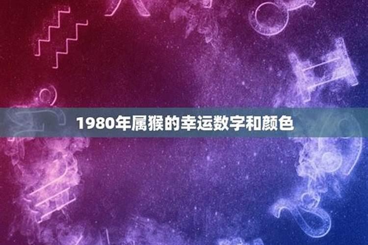 1980年属猴的财运数字