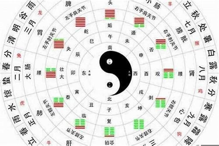 怎么看八字天干地支五行