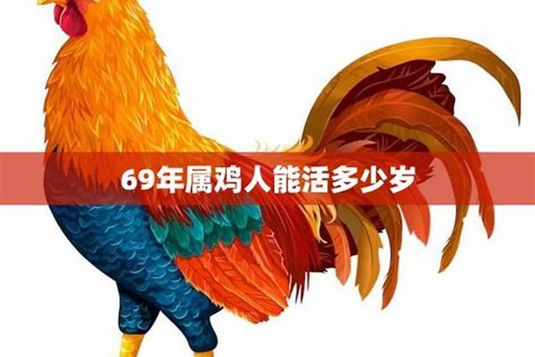 69年属鸡人命运如何