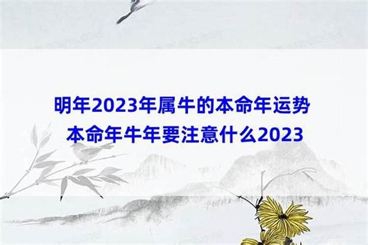 阴历六月18是童子命吗